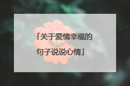 关于爱情幸福的句子说说心情