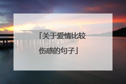 关于爱情比较伤感的句子