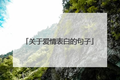 关于爱情表白的句子