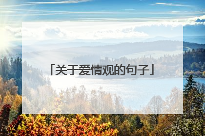 关于爱情观的句子