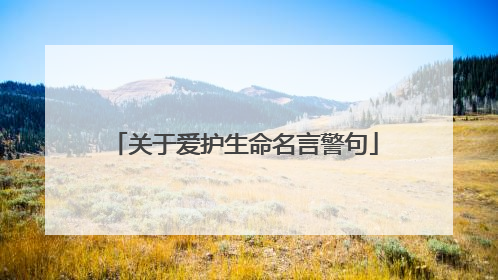 关于爱护生命名言警句