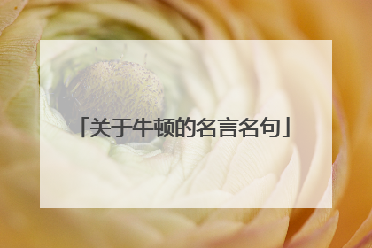 关于牛顿的名言名句