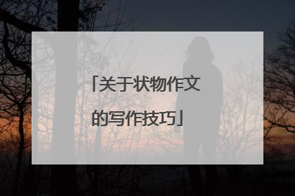 关于状物作文的写作技巧