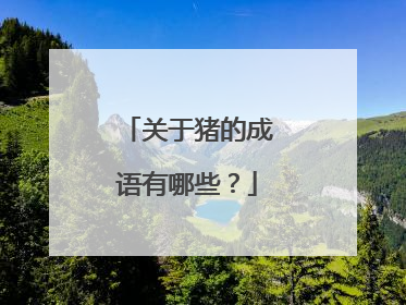 关于猪的成语有哪些？