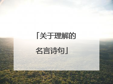 关于理解的名言诗句