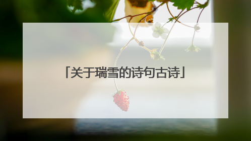 关于瑞雪的诗句古诗