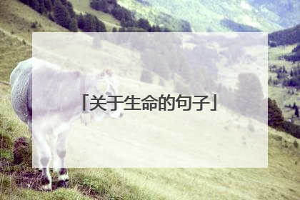 关于生命的句子