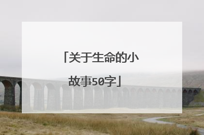 关于生命的小故事50字
