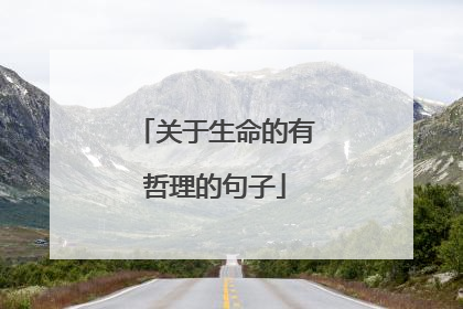 关于生命的有哲理的句子