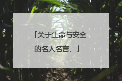 关于生命与安全的名人名言、