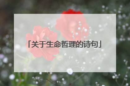 关于生命哲理的诗句