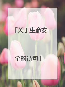 关于生命安全的诗句