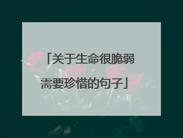 关于生命很脆弱需要珍惜的句子