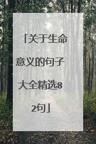 关于生命意义的句子大全精选82句