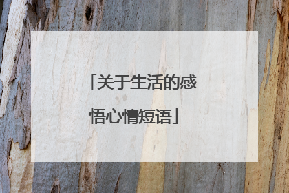 关于生活的感悟心情短语