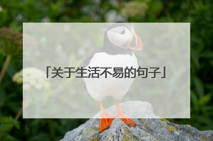 关于生活不易的句子