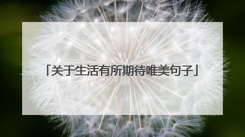 关于生活有所期待唯美句子