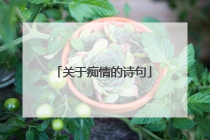 关于痴情的诗句