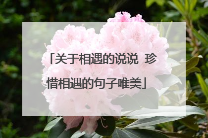关于相遇的说说 珍惜相遇的句子唯美