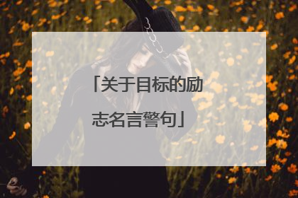 关于目标的励志名言警句