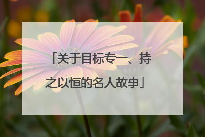 关于目标专一、持之以恒的名人故事