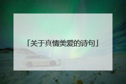 关于真情美爱的诗句