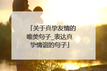 关于真挚友情的唯美句子_表达真挚情谊的句子