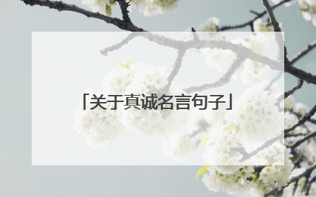 关于真诚名言句子