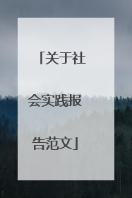 关于社会实践报告范文