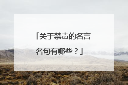 关于禁毒的名言名句有哪些？