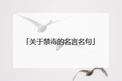 关于禁毒的名言名句