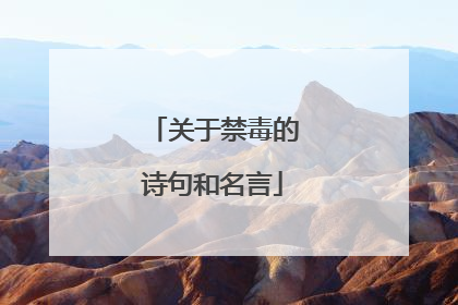 关于禁毒的诗句和名言