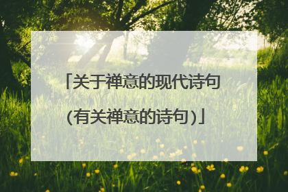关于禅意的现代诗句(有关禅意的诗句)