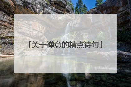 关于禅意的精点诗句