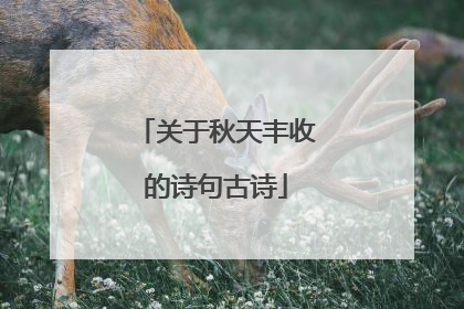 关于秋天丰收的诗句古诗