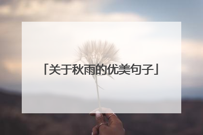 关于秋雨的优美句子