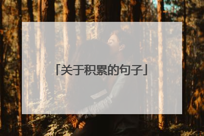 关于积累的句子