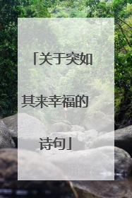 关于突如其来幸福的诗句