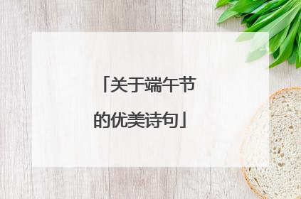 关于端午节的优美诗句