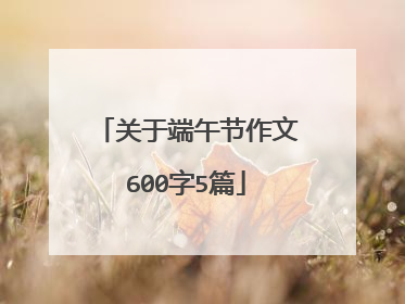 关于端午节作文600字5篇