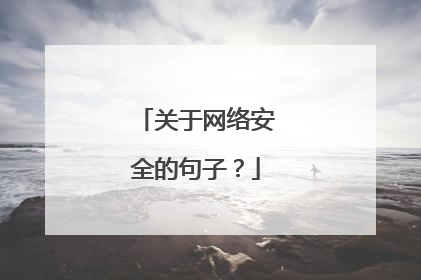 关于网络安全的句子？