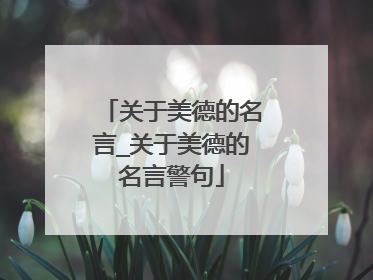 关于美德的名言_关于美德的名言警句