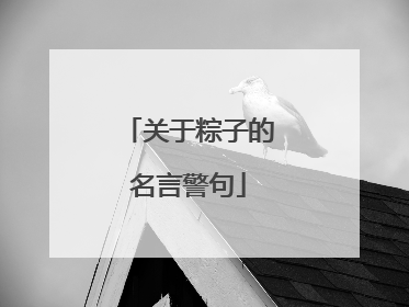 关于粽子的名言警句
