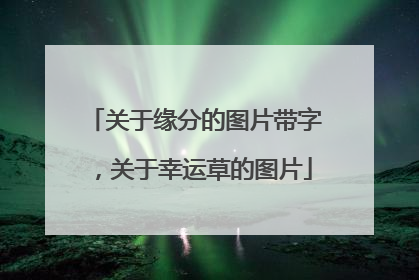 关于缘分的图片带字，关于幸运草的图片