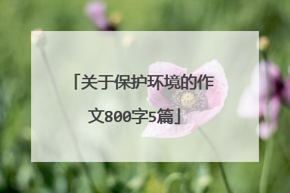 关于保护环境的作文800字5篇