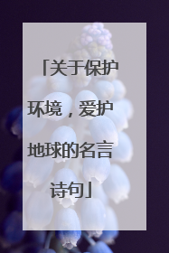 关于保护环境，爱护地球的名言诗句