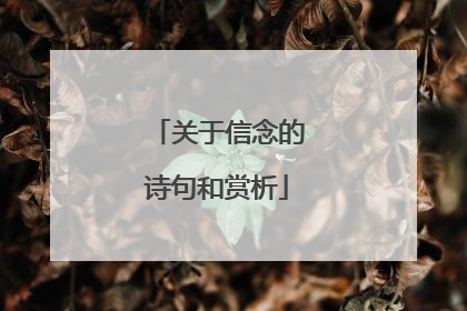 关于信念的诗句和赏析
