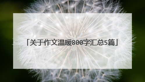 关于作文温暖800字汇总5篇