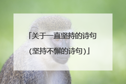 关于一直坚持的诗句(坚持不懈的诗句)
