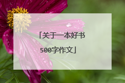 关于一本好书500字作文